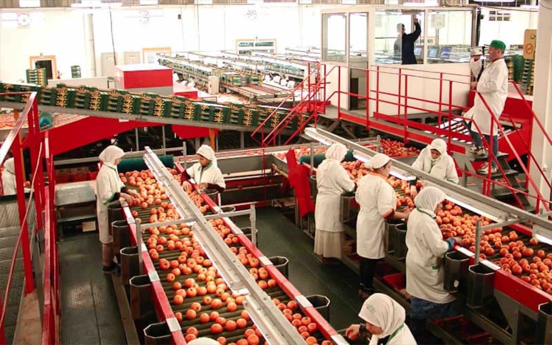 Agroalimentaire : le grand potentiel du Maroc dans cette industrie