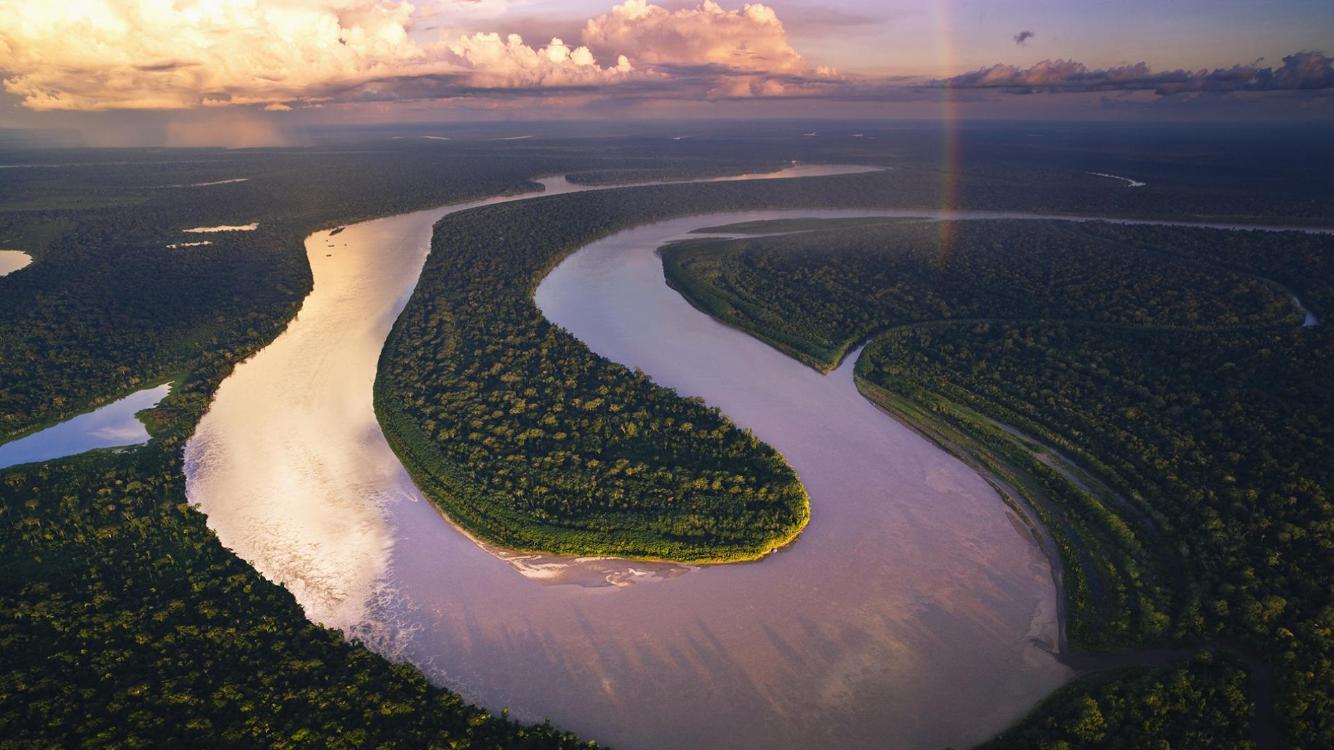 Amazonie : entre trafic et déforestation