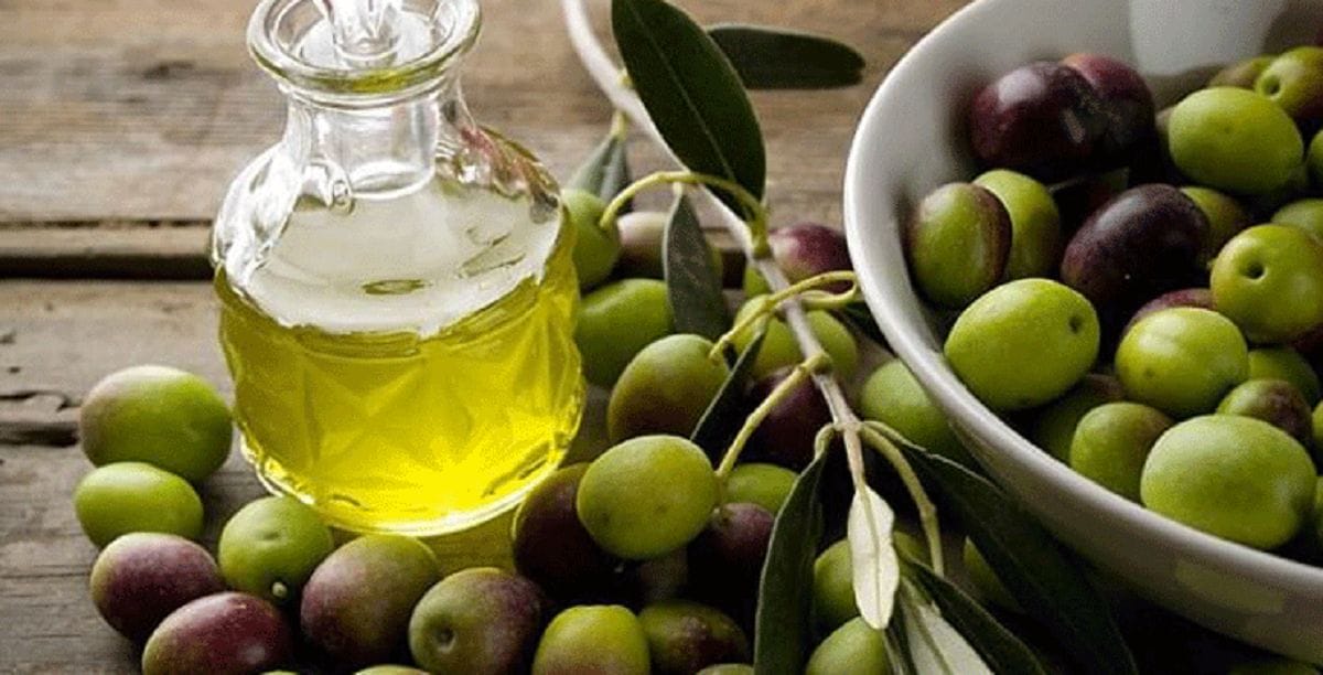 Produits à base d’olive : voici la liste soumise à licence d’exportation