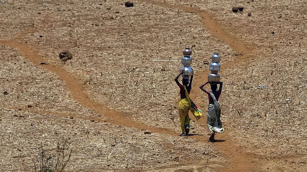 Des régions du monde bientôt «invivables» à cause des chaleurs extrêmes