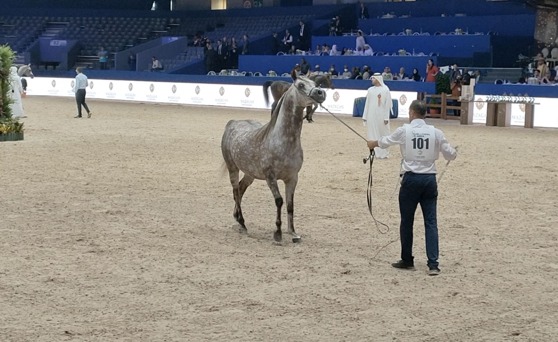 Le Salon du Cheval d'El Jadida retrouve son public