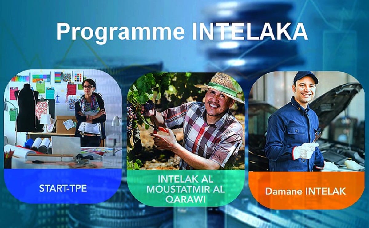 Intelaka : un programme sous la loupe de la Cour des comptes