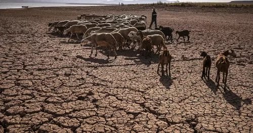 Le barrage Al Massira asséché