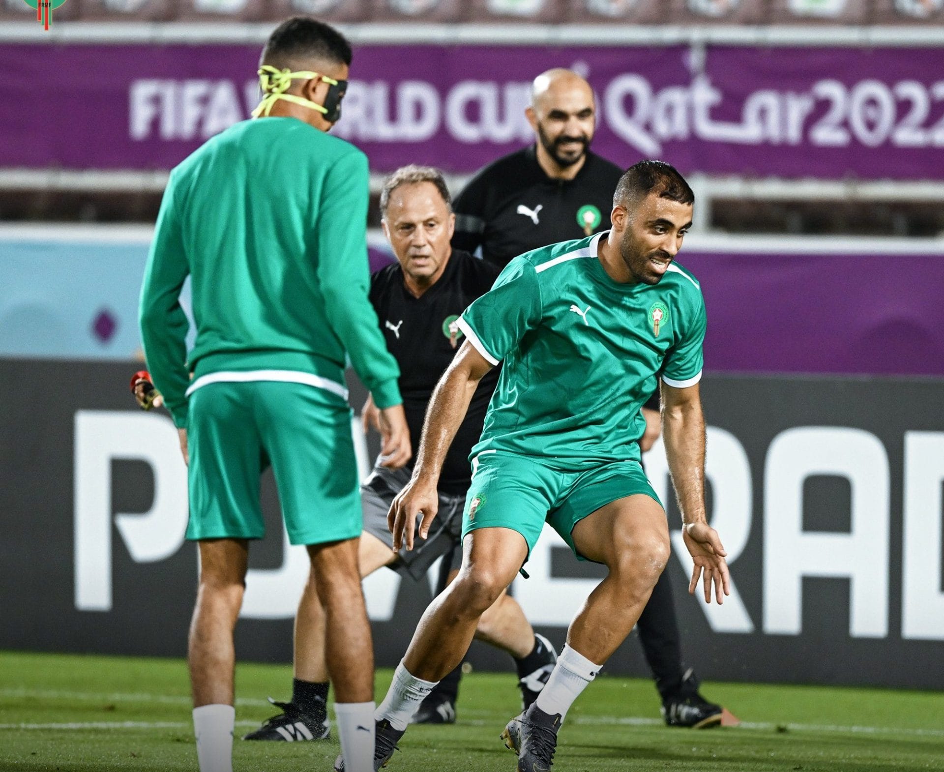 Lions de l'Atlas : première séance d'entraînement sur le sol qatari