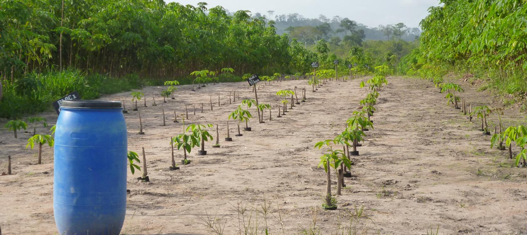 L'agroécologie, une voie d’adaptation au changement climatique dans les zones sèches