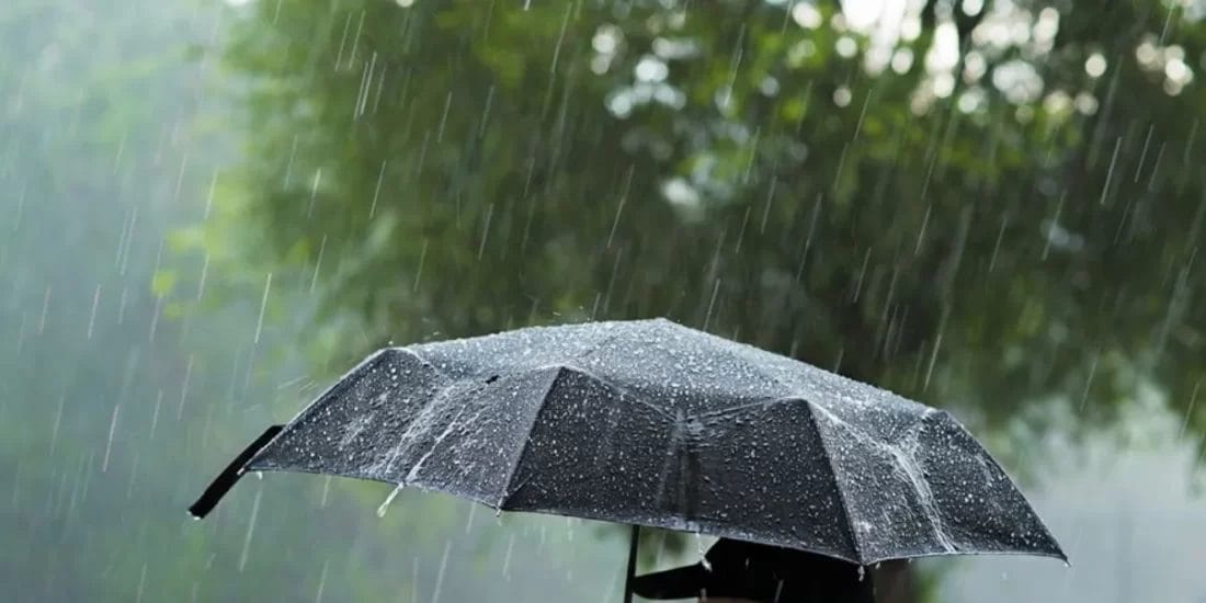 Alerte météo : pluies et orages attendus vendredi et samedi