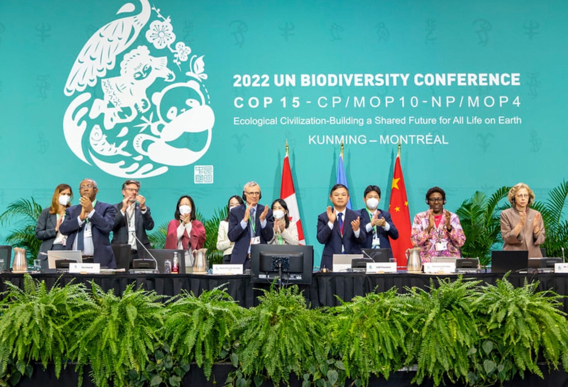 Biodiversité : ce qu’il faut retenir de la COP 15 !