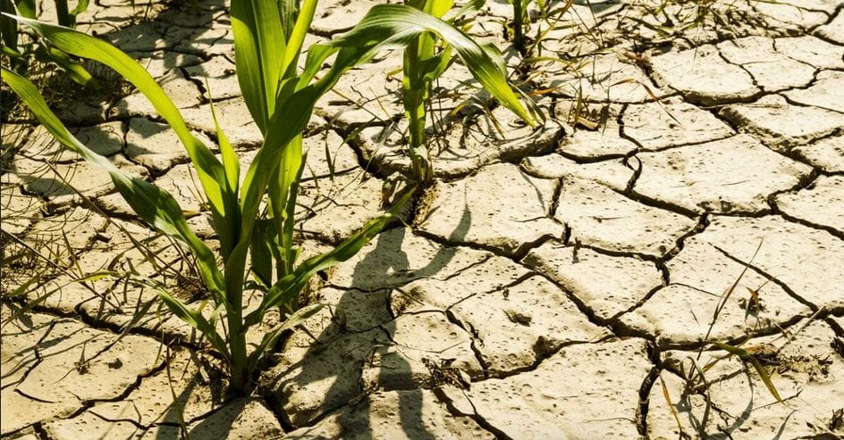 Stress hydrique : le Maroc toujours assoiffé