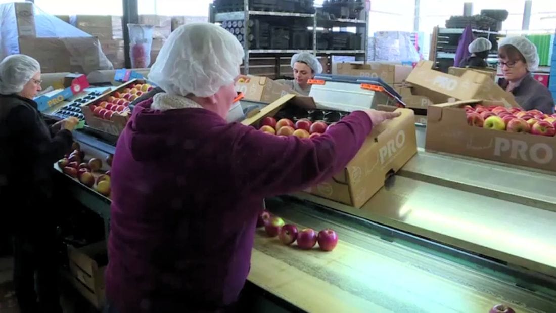 Europe : quand les travailleurs manquent à l'appel