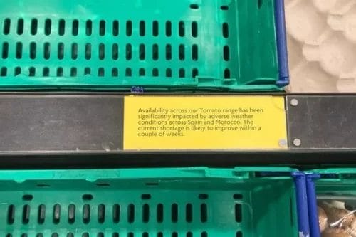 Exportations Maroc : le marché britannique manque de tomates 1 dsdde