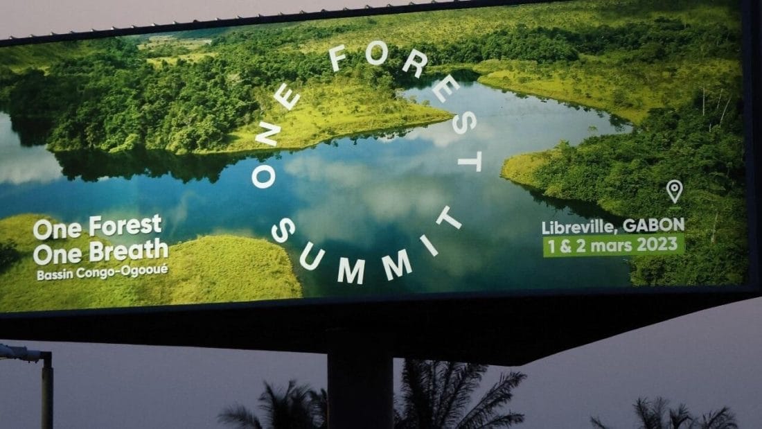 One Forest Summit : comment protéger les forêts tropicales ? 1 One Forest Summit : comment protéger les forêts tropicales ?