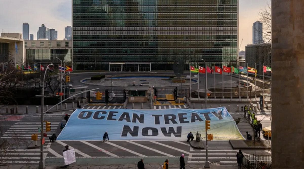 Protection de la haute mer : enfin un accord trouvé à l'ONU !