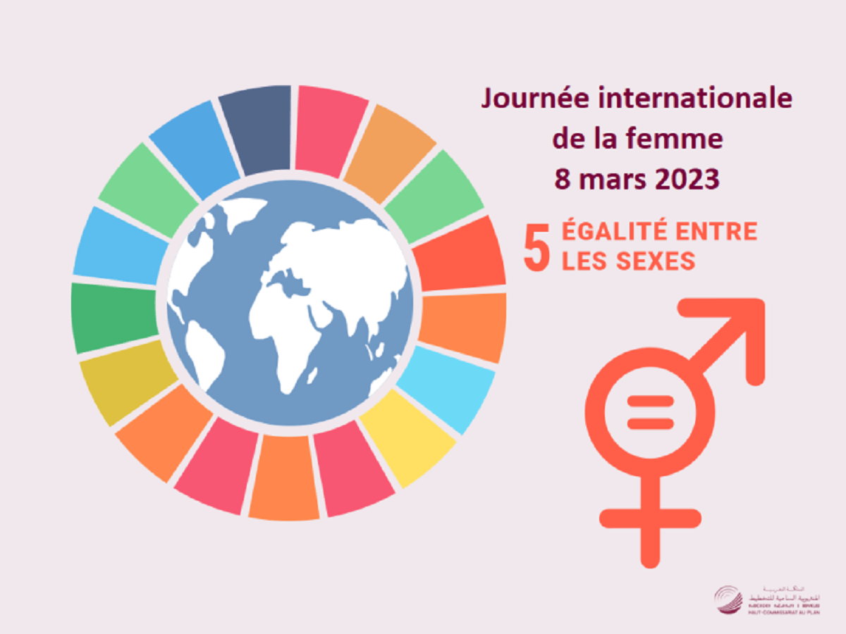 Usage des NTIC : quelle réalité pour les femmes marocaines ?