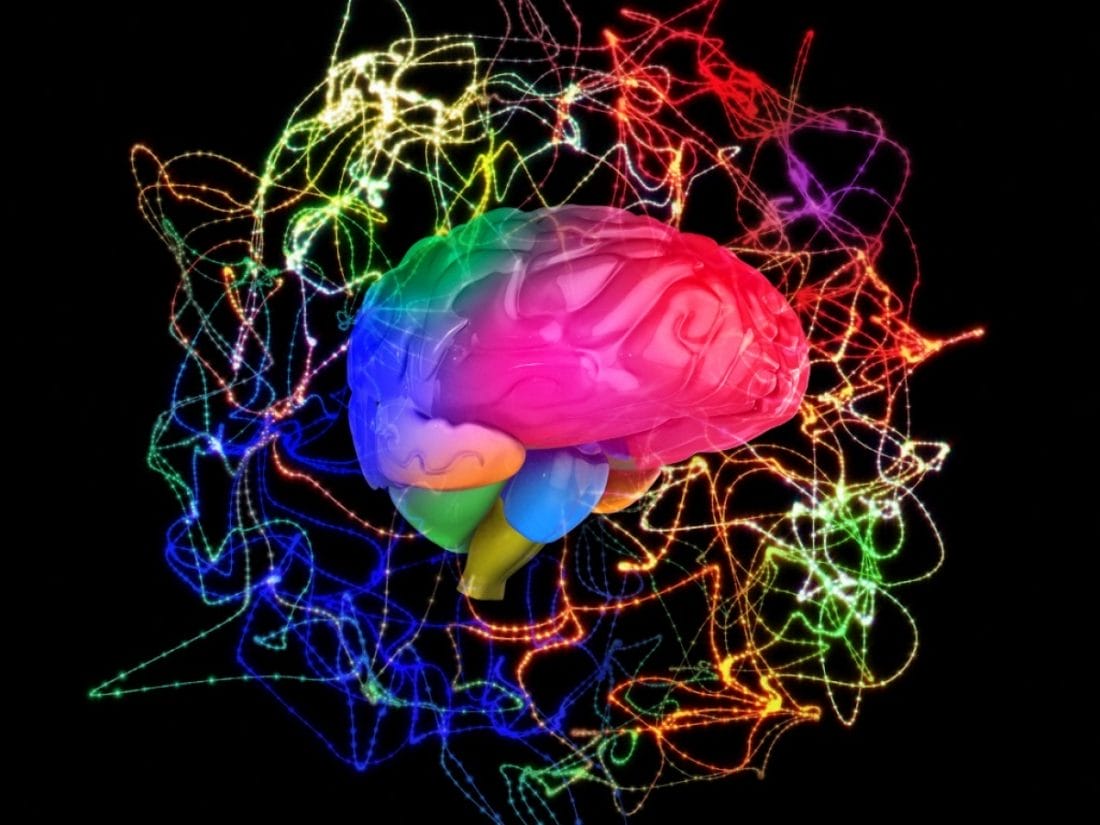 Changement climatique : quid de la r&eacute;action du cerveau ?