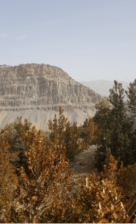 "Tazizawt", le deuxième massacre ! 2 tazizawt2