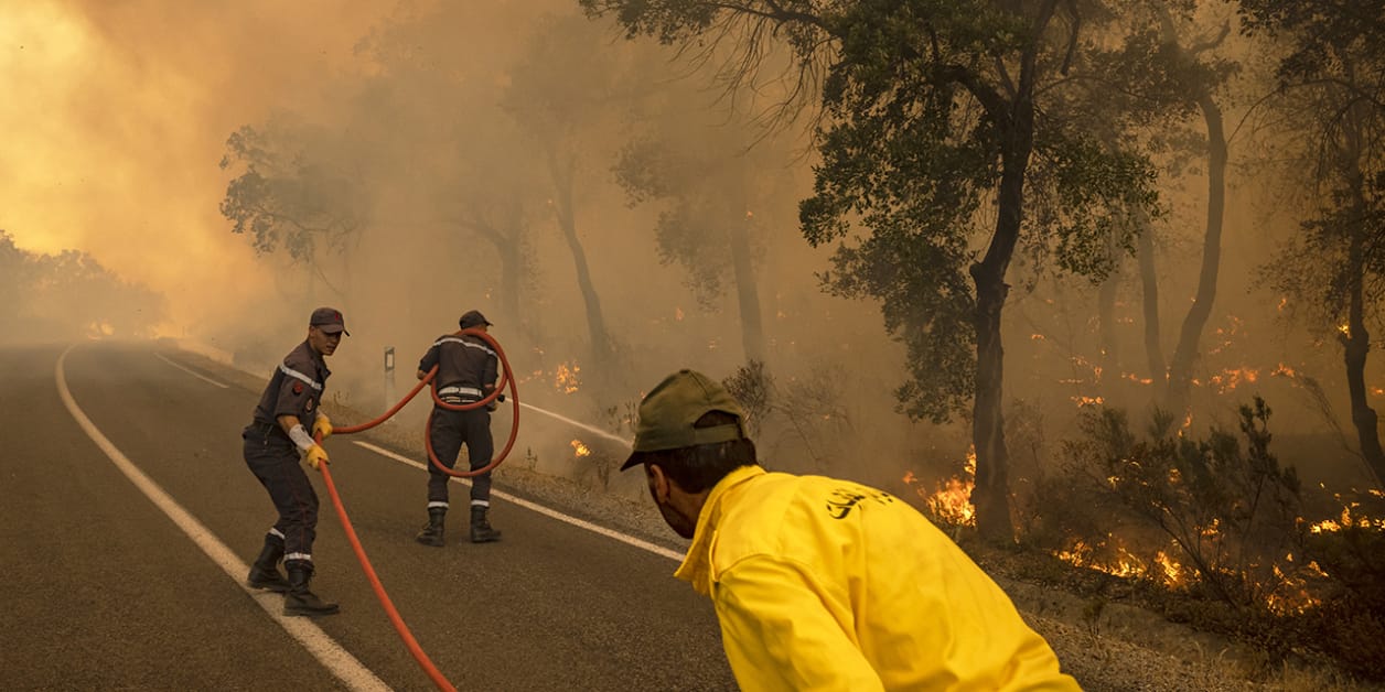 Feux de forêt : l’IA, un levier du nouveau plan d’action de l’ANEF