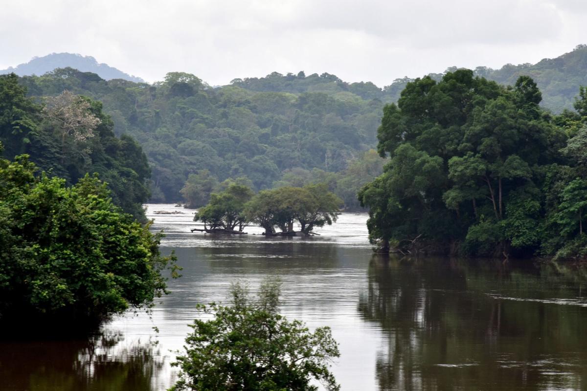 Gabon : Bank of America arrangera un échange dette-nature de 500 M$