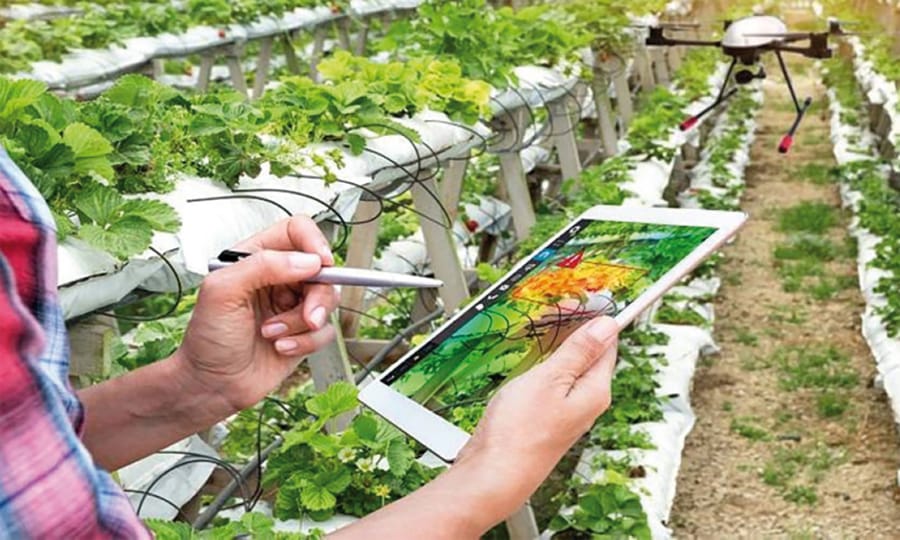 L’innovation dans l’agriculture, le défi du continent 1 agriculture innovation