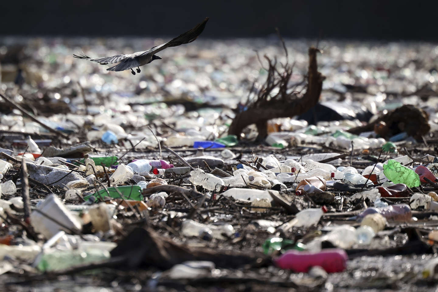 Le monde réuni en sommet à Paris pour tenter de mettre fin à la pollution plastique d’ici 2040