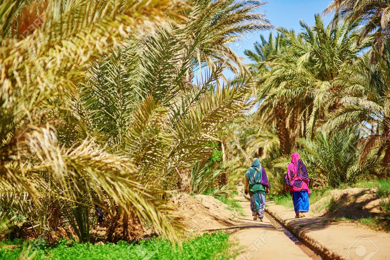 Ouarzazate abrite le premier Congrès international des oasis et du palmier dattier