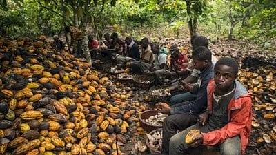 Côte d’ivoire : l’Afrique des possiblités 1 132C0993 099E 45EE A7A5 A432ED9434D8