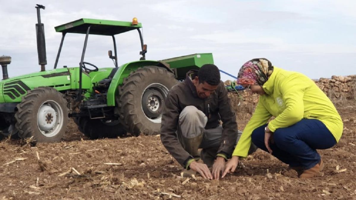 Al Moutmir : une révolution cultivant l’innovation agricole au Maroc