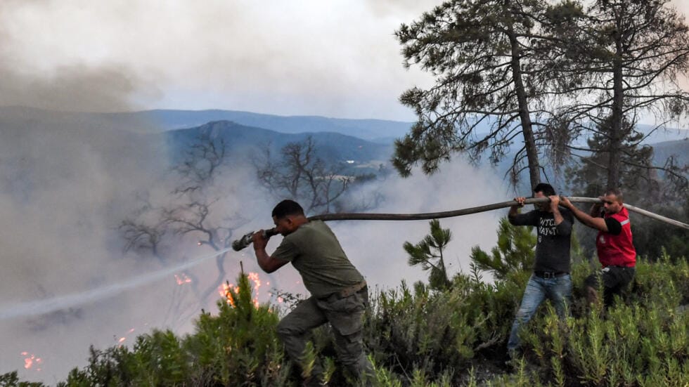 Incendies en Algérie : au moins 34 morts, la Tunisie affectée aussi