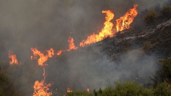 Algérie : la majorité des incendies éteints, d'autres en cours