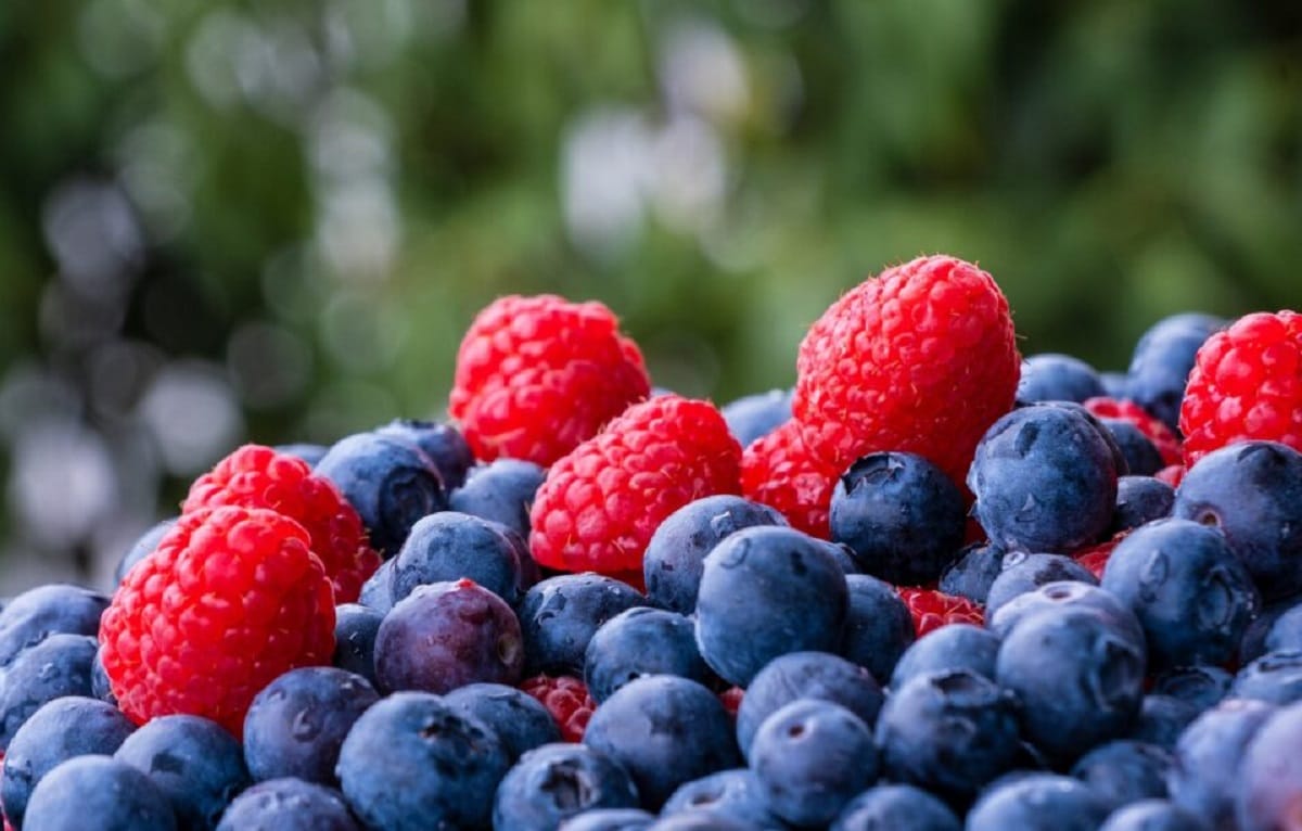 Bananes, fraises, prunes… Quels fruits importe le Maroc ?