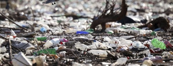 Kenya : comment lutter contre la pollution plastique ?