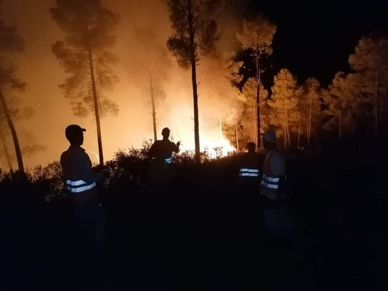 Les efforts se poursuivent pour maîtriser un feu de forêt à Tetouan 2 feu de foret tetouan
