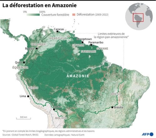 La déforestation en Amazonie. © AFP 