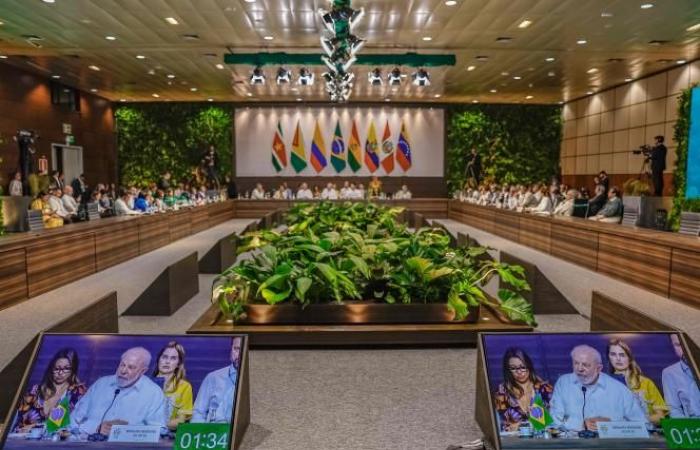 Au Brésil, le Sommet sur l'Amazonie s’achève sur un bilan en demi-teinte