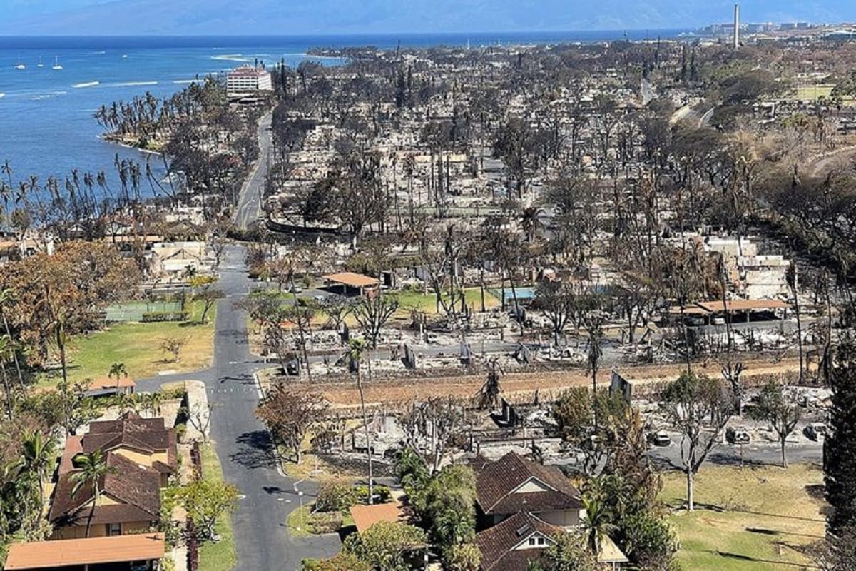 Incendies de forêts dans le monde : l'été de la lutte contre les flammes