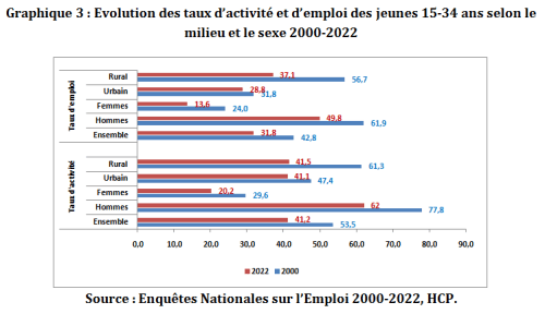 Journée internationale de la jeunesse : principaux points de la note du HCP