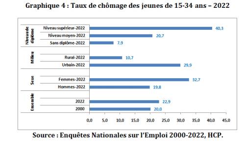 Journée internationale de la jeunesse : principaux points de la note du HCP