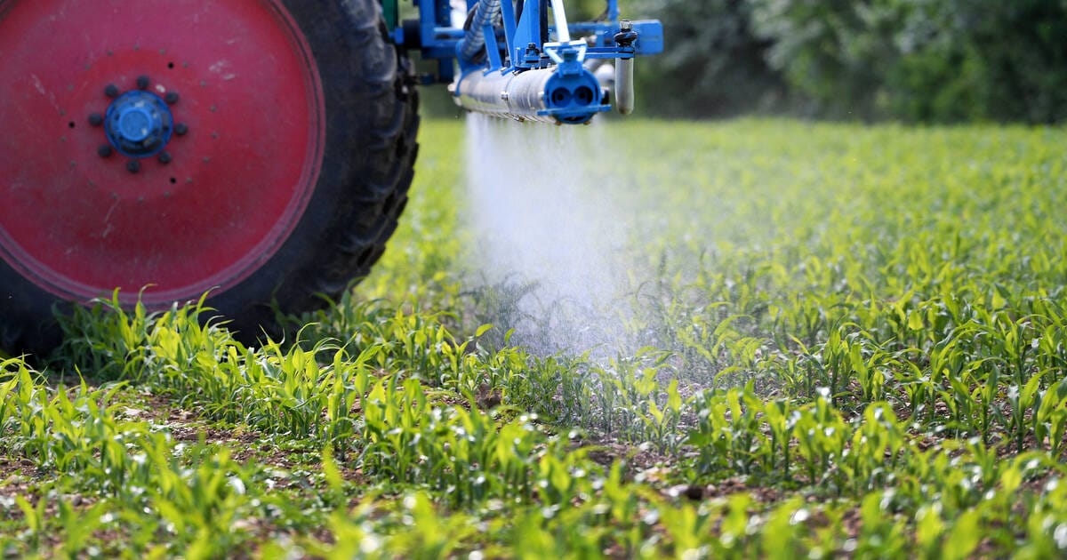 Glyphosate : un «cancérogène probable» bientôt réautorisé pour 10 ans