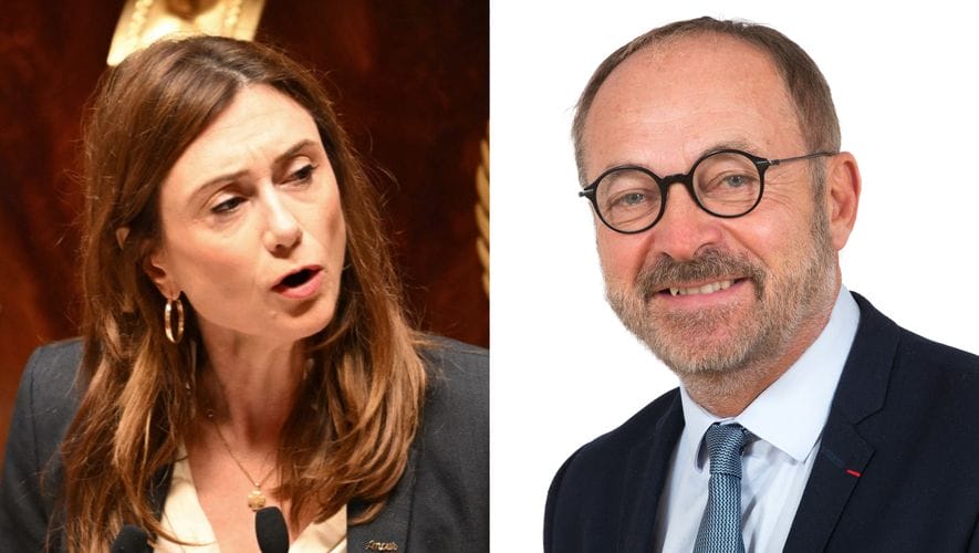 Affaire Joël Guerriau et Sandrine Josso