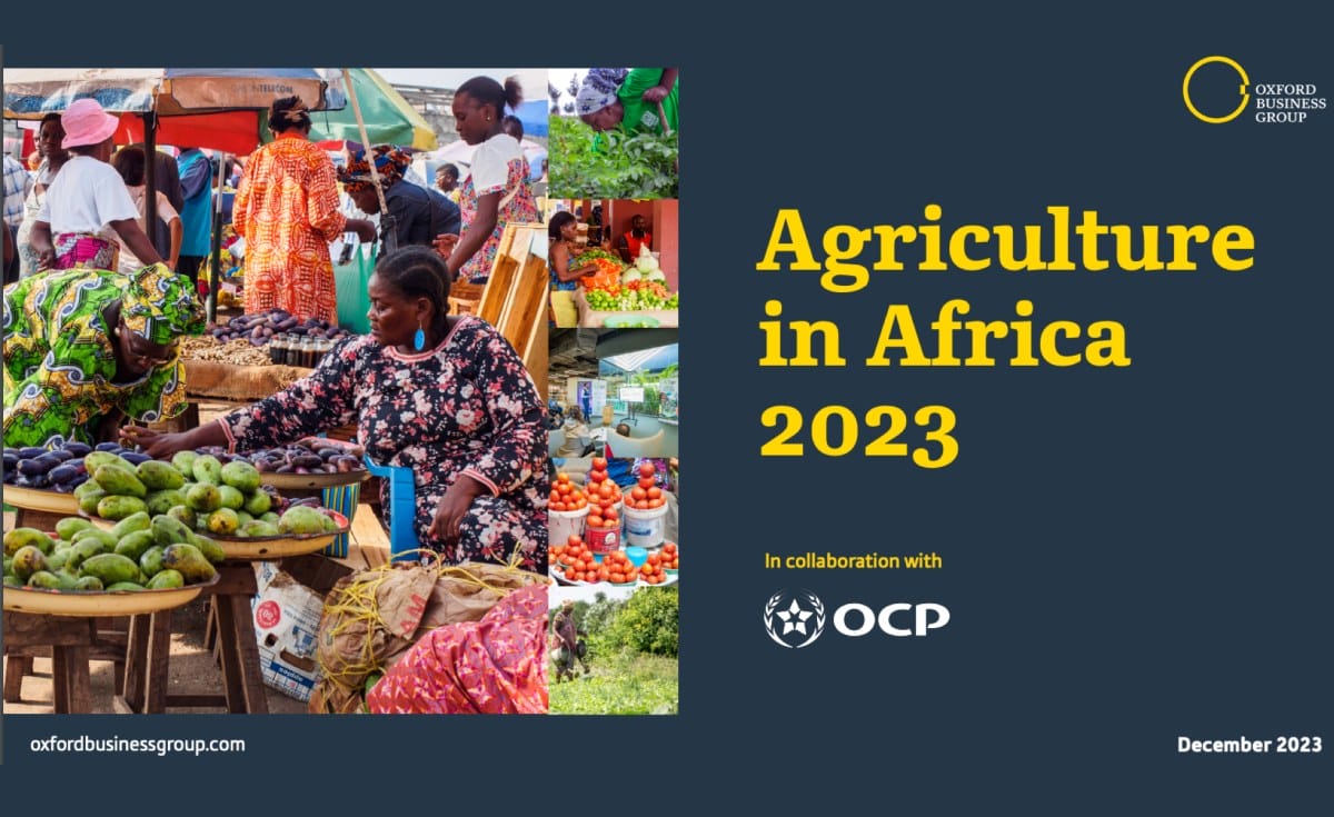 Révolution agricole en Afrique : nouvelles perspectives et initiatives durables (OBG)