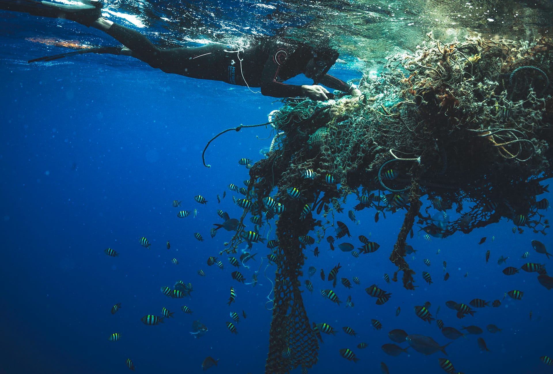 Les fonds des océans vont-ils nous sauver ou causer notre perte ?