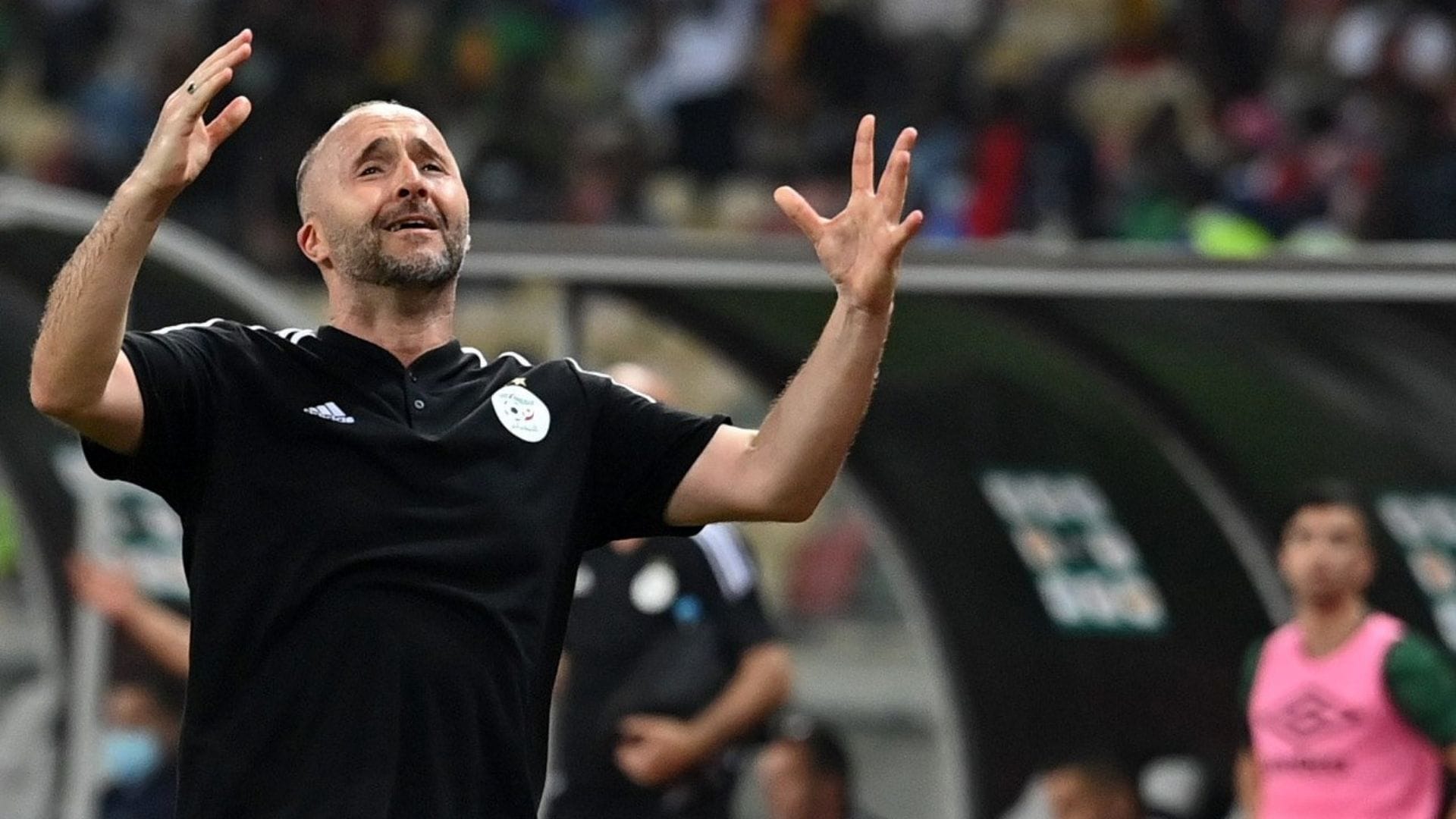 Algérie : la renaissance de Belmadi ?