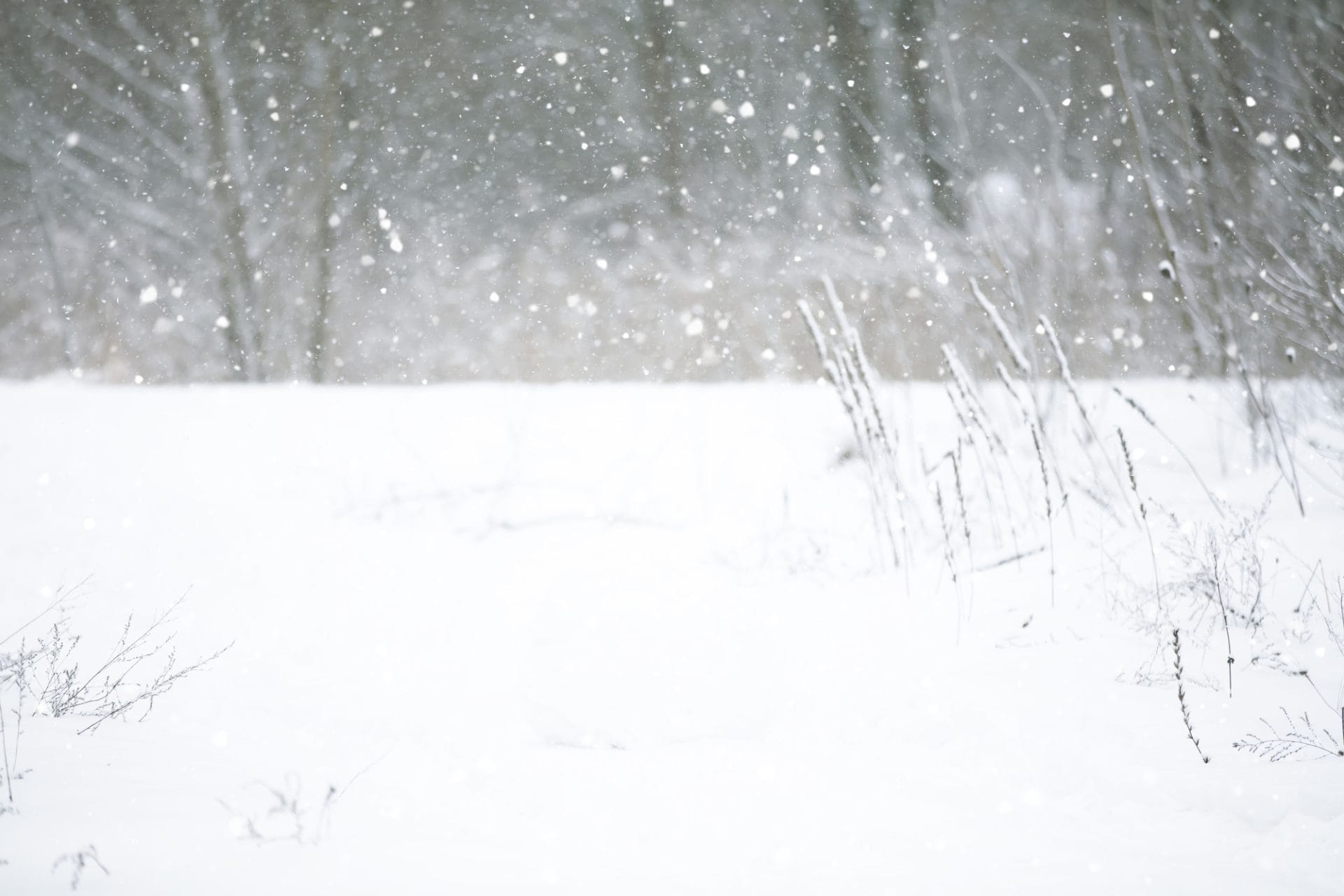 Alerte météo : Fortes rafales, pluies orageuses et chutes de neige annoncées