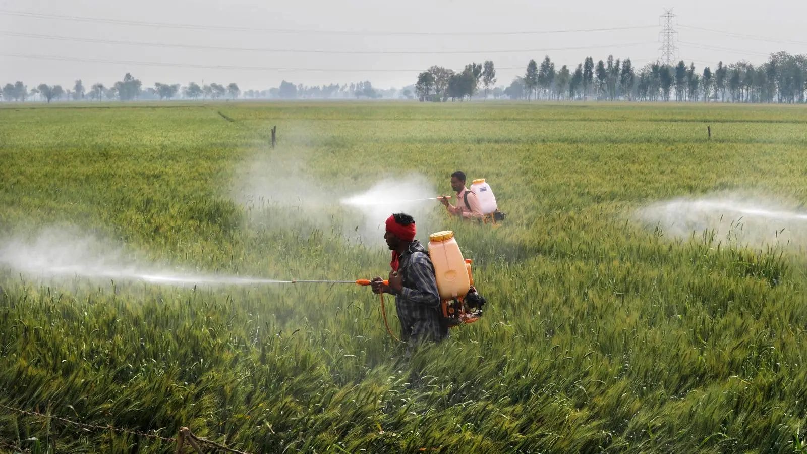 Pesticides : ce mensonge européen