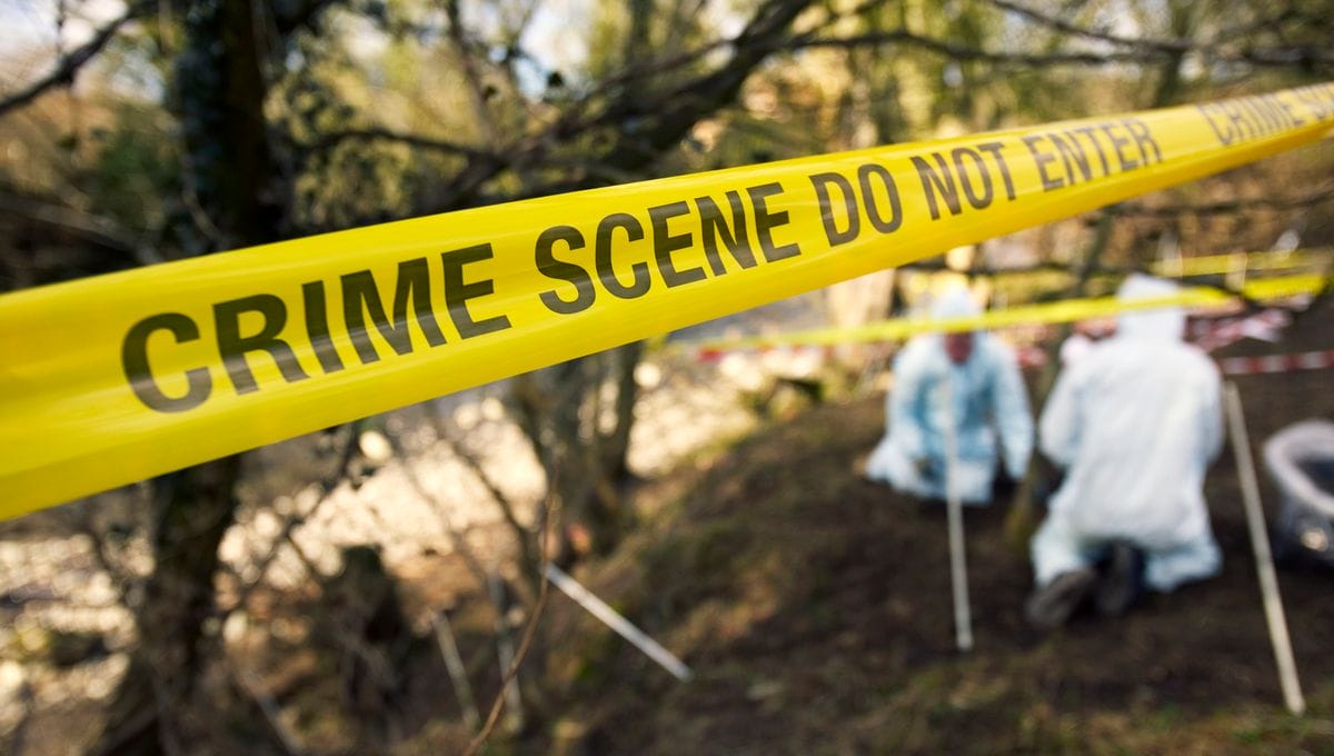 Crime et engouement : une passion française