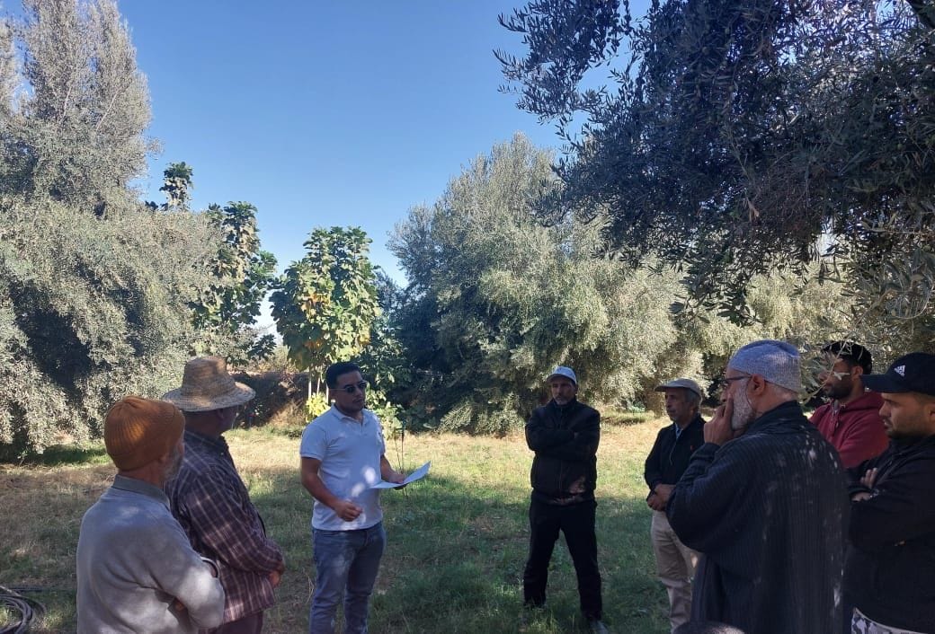 Al Moutmir : les PFDs, une révolution de l’agriculture marocaine