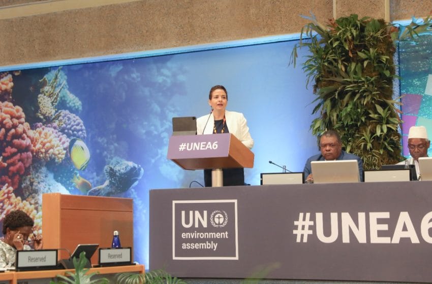 ANUE-6 : un nouvel horizon pour l'action environnementale mondiale