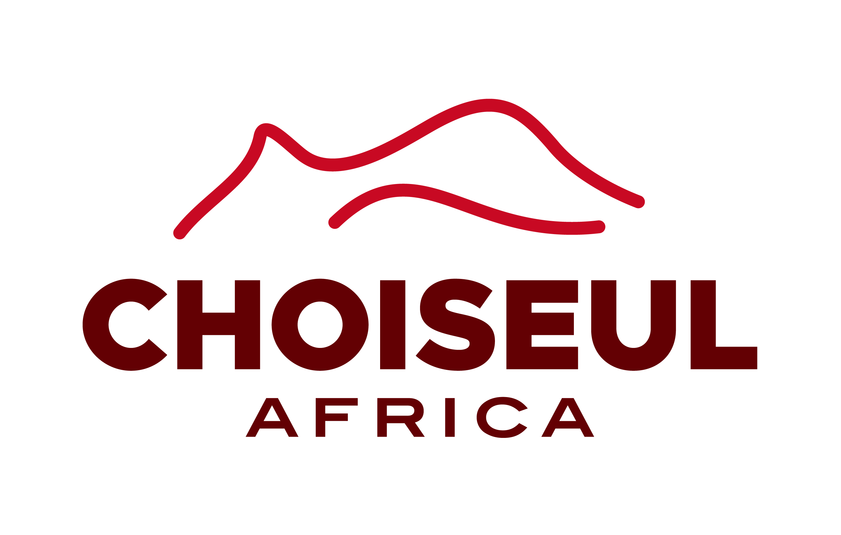 Enquête Choiseul : l'UE plébiscitée par les patrons africains