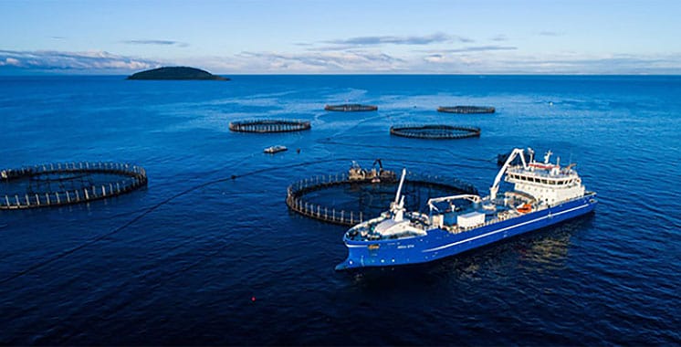 Économie bleue : le MEF et la BM font état d'un bilan encourageant