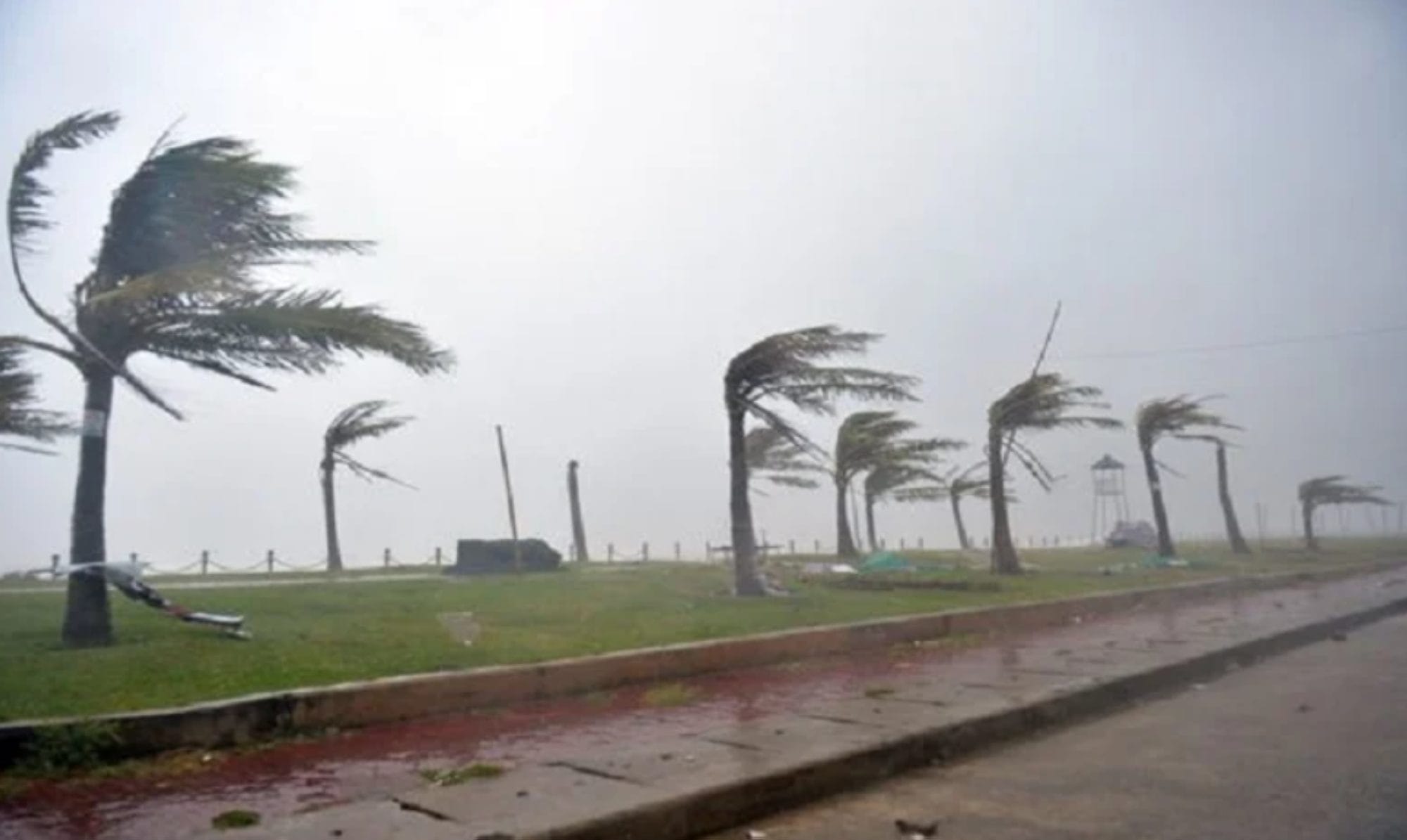 Alerte météo : vents forts avec chasse-poussières locales vendredi