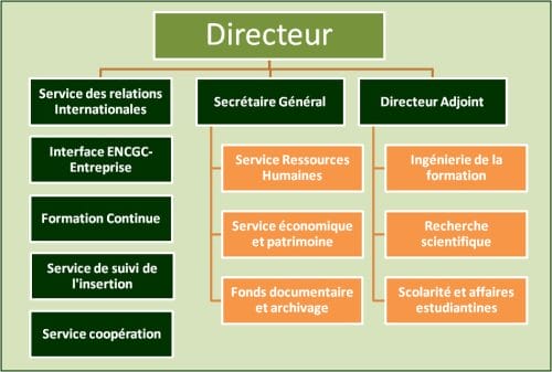 Ancien organigramme de l'ENCG Casablanca